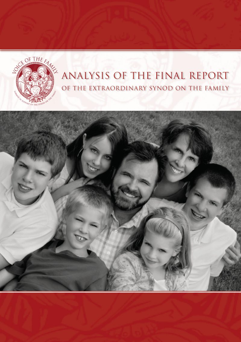 ENGLISH ANALYSIS OF THE FINAL REPORT front
