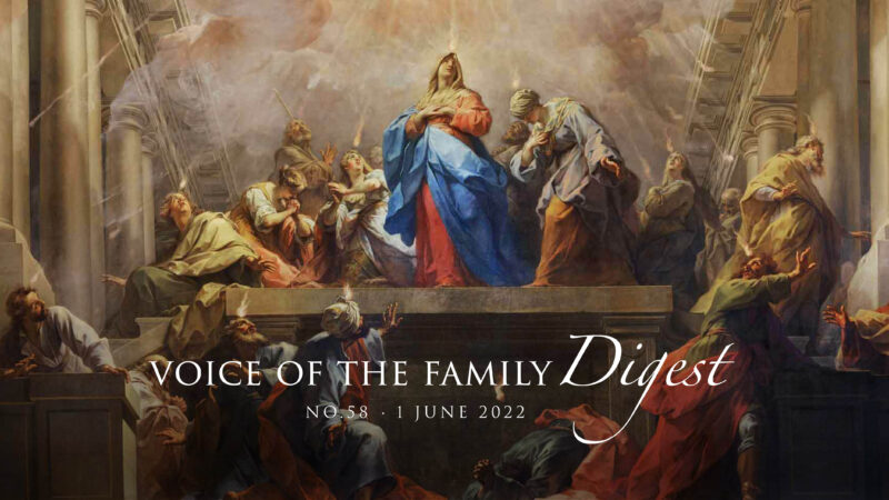 Sermon on the Pentecost Sunday - Voice of the Family